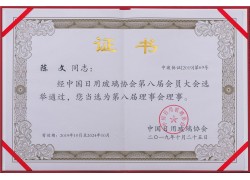 榮譽(yù)證書12